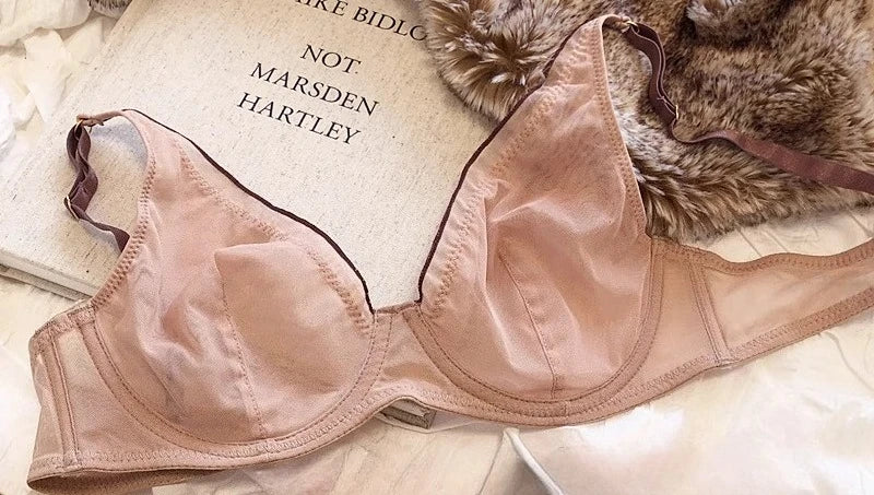 Elegant French Design Minimizer Bra Fashion Triangle Cups Structural Support Mesh Lingerie Set 32-40 MOYISU Sexy Panty Tushy Set