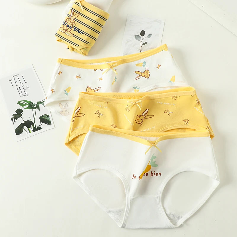5Pcs/Set Women's Cotton Panties Cute Print Underwear Soft Girls Briefs Sexy Underpants Low Waist Female Breathable Lingerie
