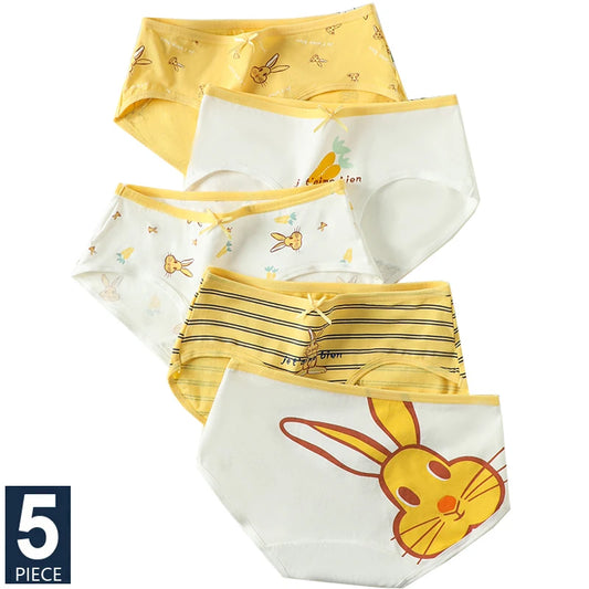 5Pcs/Set Women's Cotton Panties Cute Print Underwear Soft Girls Briefs Sexy Underpants Low Waist Female Breathable Lingerie