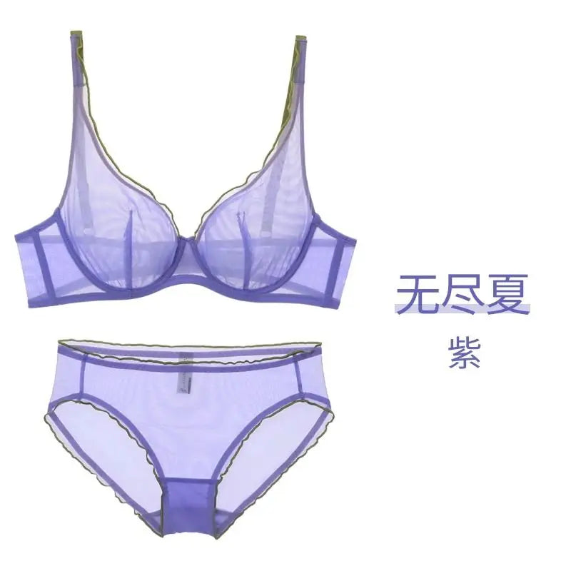 Elegant French Design Minimizer Bra Fashion Triangle Cups Structural Support Mesh Lingerie Set 32-40 MOYISU Sexy Panty Tushy Set