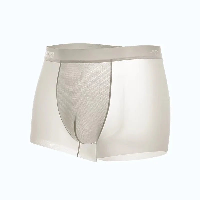 Ice Silk Men's Panties Sports Quick Drying Fashion Shorts Thin Plus Size Panties Boxer Underwear Underpants Gift Luxury