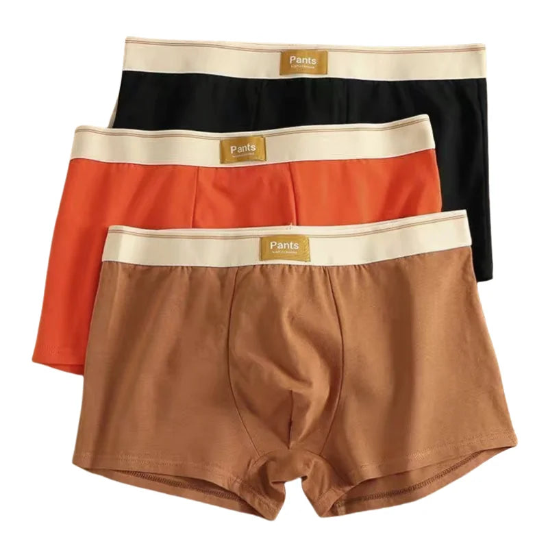 3pcs Men Panties Cotton BoxerShorts Man Underwear Mens Boxers Breathable U Convex Male Underpants Sexy Trunks