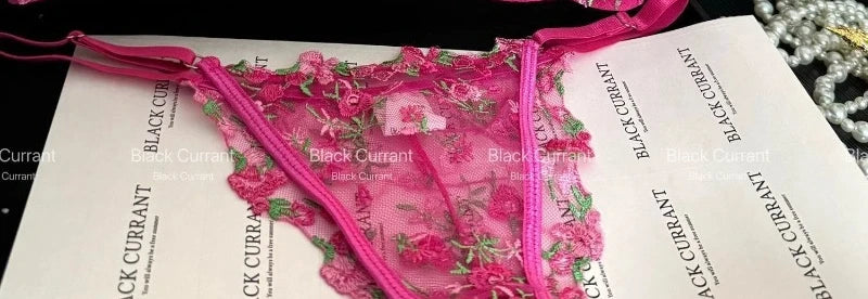 Women's French Embroidered Lace Set Sensual Mesh Bra Set & Brief Soft Underwire Unpadded Bralette Deep V Plunge Elegant Lingerie