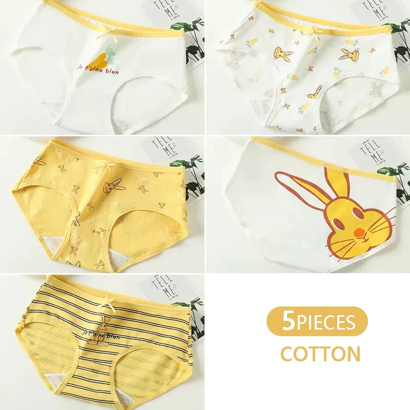 5Pcs/Set Women's Cotton Panties Cute Print Underwear Soft Girls Briefs Sexy Underpants Low Waist Female Breathable Lingerie